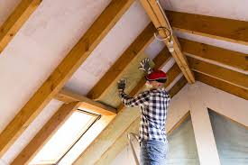 Best Commercial Insulation Services  in Neffs, OH